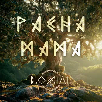 Pachamama Extended Version by Ruben Moran