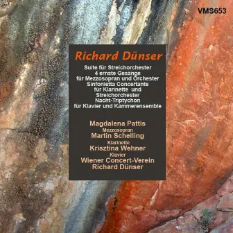 Orchestral Works by Richard Dünser