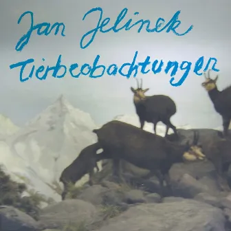 Tierbeobachtungen by Jan Jelinek