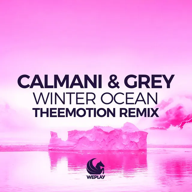 Winter Ocean - Theemotion Remix