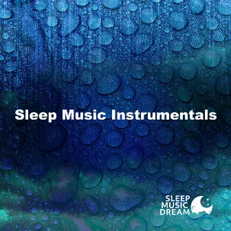 Sleep Music Instrumentals by Unknown Artist