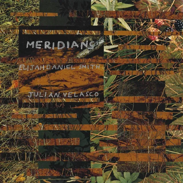 Meridians