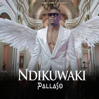 Ndikuwaki by Pallaso