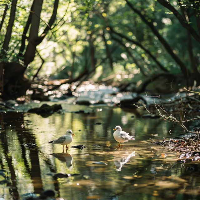 Binaural Birds and Creek for Calming Baby in Nature