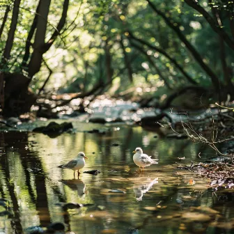 Binaural Birds and Creek for Calming Baby in Nature by Deepest Statement