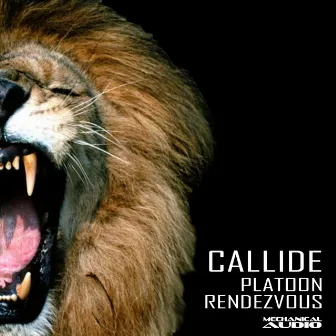 Platoon / Rendezvous by Callide