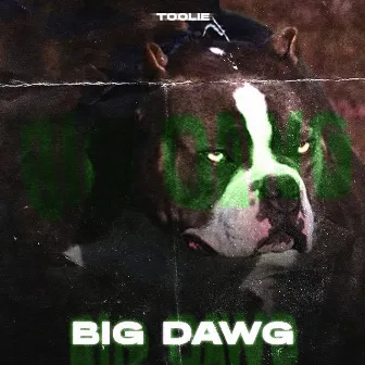 Big Dawg by Toolie