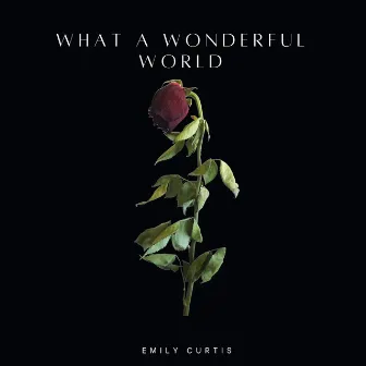 What A Wonderful World by Emily Curtis