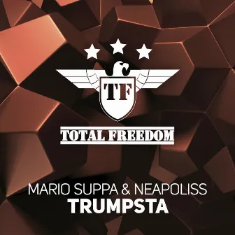 Trumpsta by Mario Suppa