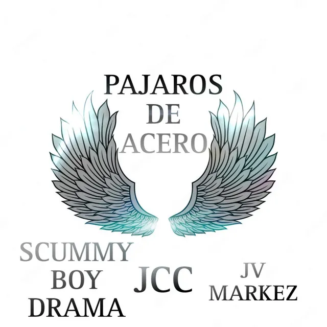 Pajaros de Acero