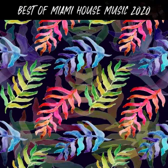 Best of Miami House Music 2020 by Miami House Music