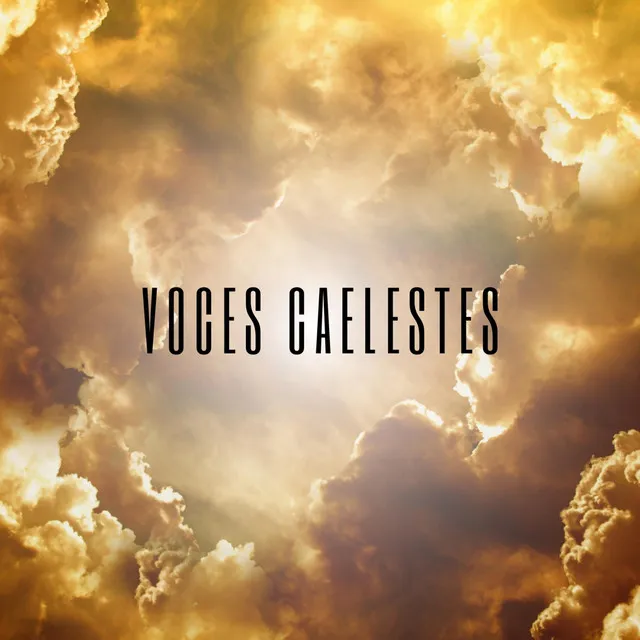 Voces Caelestes