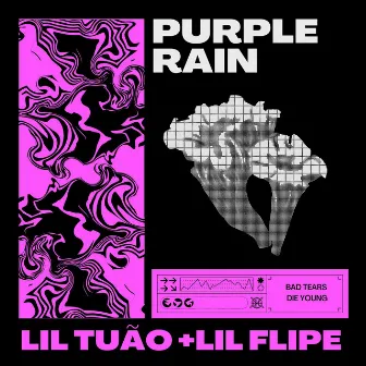 Purple Rain by Lil Flipe777