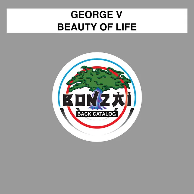 Beauty of Life - Zakat Project Remix