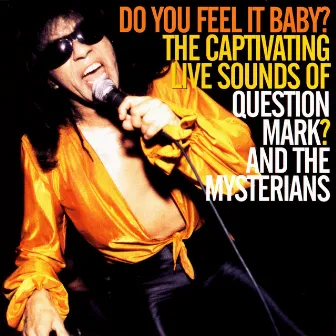 Do You Feel It Baby? by ? & The Mysterians