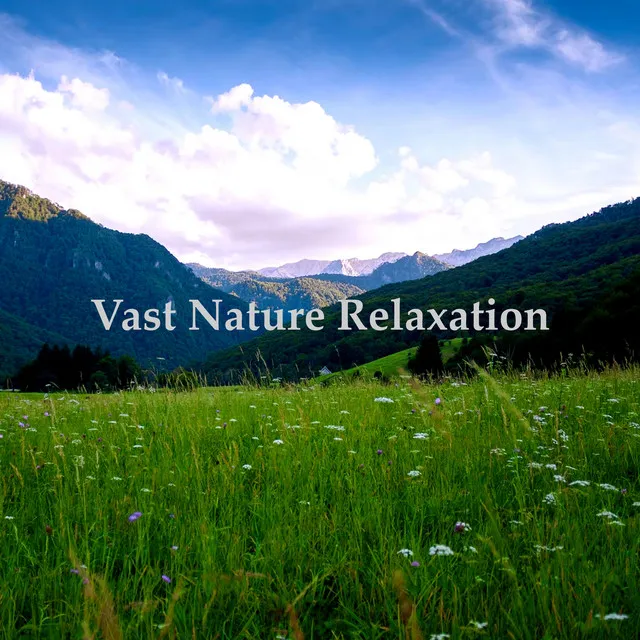 Vast Nature Relaxation