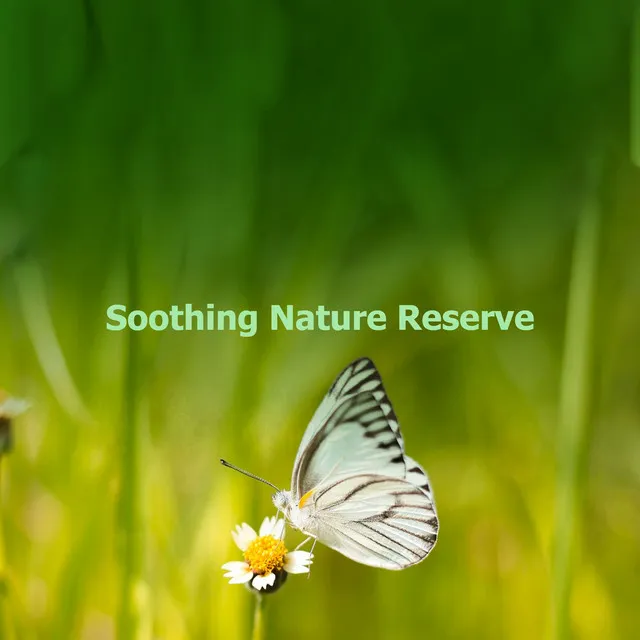 Soothing Nature Reserve