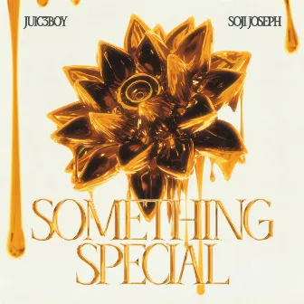 Something Special by Soji Joseph