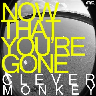 Now That You're Gone by Clever Monkey