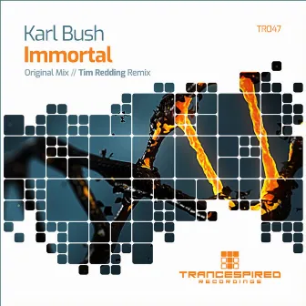 Immortal by Karl Bush