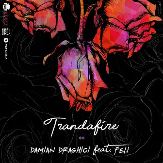 Trandafire by Damian Draghici