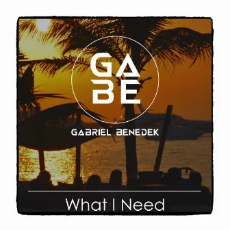 What I Need by Gabriel Benedek