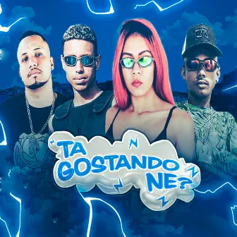 Ta Gostando Ne? by Natinho do Coque