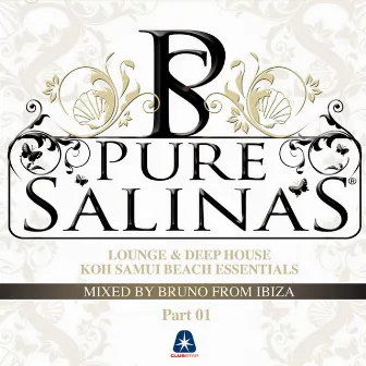 Pure Salinas, Vol. 2 (Compiled By Bruno from Ibiza) by Bruno From Ibiza