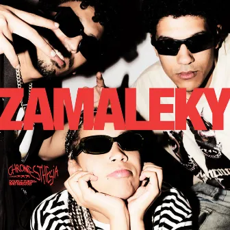 Zamaleky by Double Zuksh