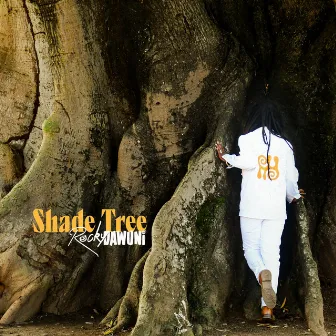 Shade Tree by Rocky Dawuni