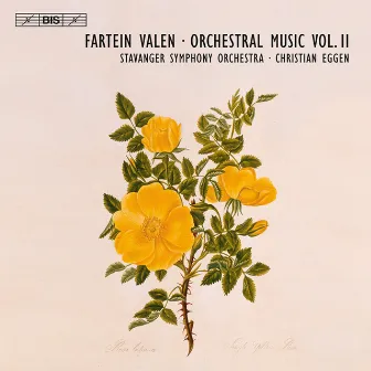 Valen, F.: Orchestral Music, Vol. 2 - Symphonies Nos. 2 and 3 / Epithalamion by Fartein Valen