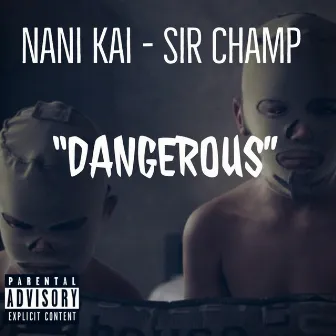 Dangerous by Nani Kai