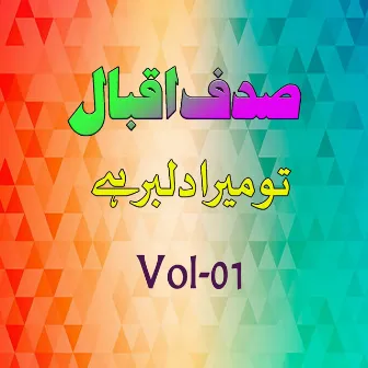 Tu Mera Dilbar Hai, Vol. 1 by Sadaf Iqbal