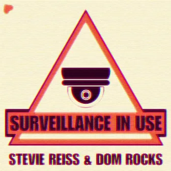 Surveillance In Use by Stevie Reiss