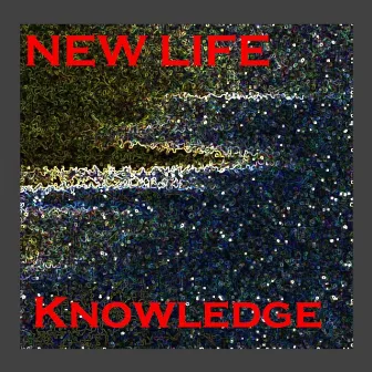 Knowledge by New Life