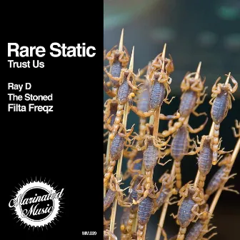 Trust Us by Rare Static