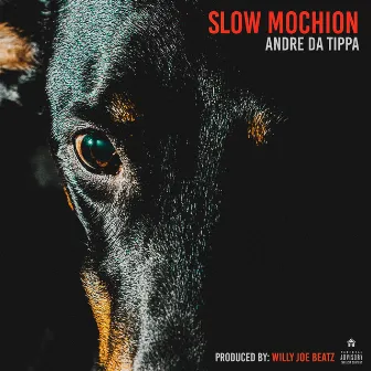 Slow Mochion by Andre Da Tippa