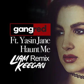 Haunt Me Liam Keegan Remix by Gang Red