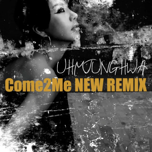 탐 2006 New Remix Version