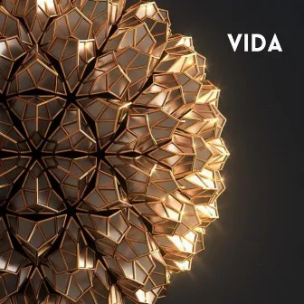 Vida by Yeshua Márquez Mx