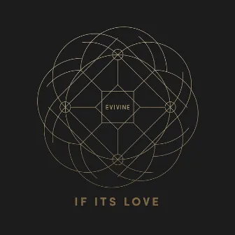 If It's Love by Evi Vine