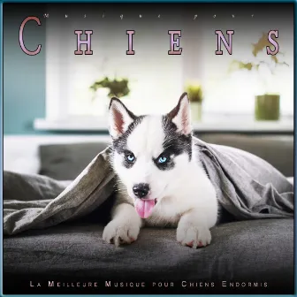 Musique pour Chiens: La Meilleure Musique pour Chiens Endormis by Musique pour L'anxiété des Chiens