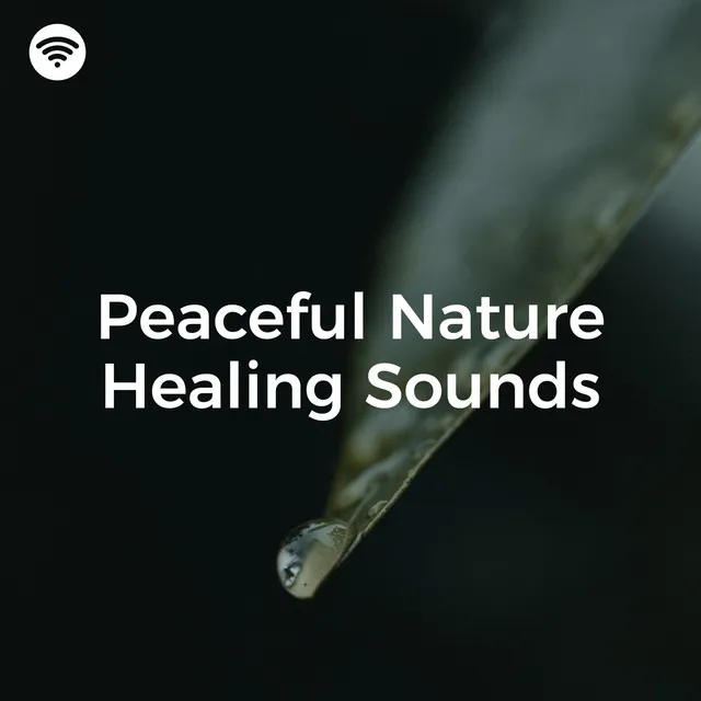 Healing Harmony