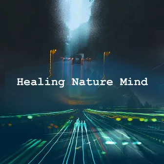 Healing Nature Mind by Natural Meditation