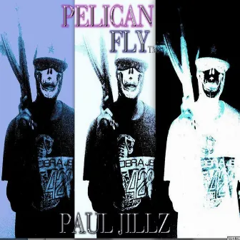 Pelican Fly by Paul Jillz