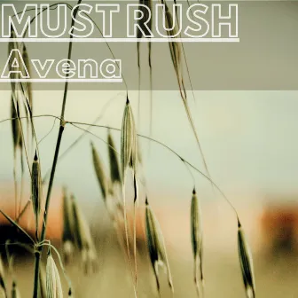 Avena by Must Rush