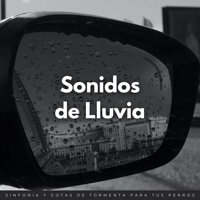 Sonidos De Lluvia: Sinfonía Y Gotas De Tormenta Para Tus Perros