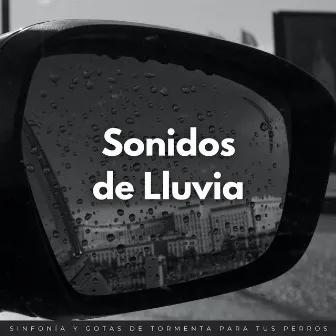 Sonidos De Lluvia: Sinfonía Y Gotas De Tormenta Para Tus Perros by Sonidos de Lluvia para Relajarse