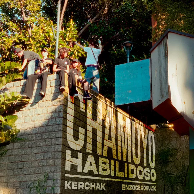 Chamuyo Habilidoso