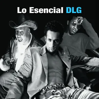 Lo Esencial by DLG